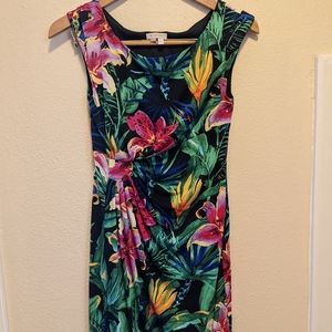 Women's Signature Floral Dress, Size 4